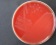 <p><b>Fig. 199:1.</b> Kolonier av <i>Mannheimia granulomatis</i>, stam BKT 20776/10, odlad aerobt under ett dygn på hematin-agar vid 37°C i närvaro av 5% CO<sub>2</sub>. Längden av skalstrecket motsvarar 1 cm. Datum: 2010-06-02.</p>

<p> </p>