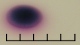 <b>Fig. 68:10.</b> Closeup of colonies of <i>Escherichia coli</i>, cultivated aerobically on Chromogenic E. coli/coliform selective agar during 24 h at 30°C. The total length of the scale bar is equivalent to 5 mm. For more information see Fig. 68:2. Date: 2010-06-17. <p>