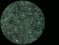 <p><b>Fig. 116:1.</b> Dark field micrograph of <i>Leptospira borgpetersenii</i>, serogroup Sejroe, serovar Sejroe, strain M84. Note the unique morphology: very thin bacteria bacteria with a hook at one or both ends. The arrows indicate some bacteria where both hooks can be seen. Date: 2011-03-15.</p>

<p> </p>