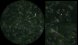 <p><b>Fig. 208:1.</b> Dark field photomicrograph of <i>Borrelia anserina</i>, strain FSD Pakistan. Image B and C show partial close-ups of the viewing field in image A, where the wave shape morphology can be observed (c.f. Fig 208:2-3). Date: 2011-04-26.</p>

<p> </p>