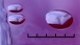 <b>Fig 69:2.</b> Närbild på kolonier av <i>Klebsiella pneumoniae</i> subsp. <i>pneumonia</i>, stam CCUG 225, odlad aerobt på hästblodagar vid 37 °C under 24 tim. Fotograferad  med ljus ovanifrån. Längden av hela skalstrecket motsvarar 5 mm. Datum: 2011-06-20. <p>