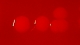 <strong>Fig. 22:1.</strong> Close up of colonies of <i>Staphylococcus intermedius</i> cultivated on bovine blood agar. The total length of the scale bar is equivalent to 5 mm.  <p>