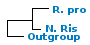 <strong>Fig. 146:1.</strong> Fylogenetiskt träd baserat på 16S rRNA-gensekvenser, som illustrerar släktskap mellan medlemmar av klasserna <i>α-proteobacteria</i> och <i>β-proteobacteria</i>, som är markerade med vertikala linjer. Alla taxa i trädet tillhör fylum <i>Proteobacteria</i> utom <i>Fusobacterium necrophorum</i> subsp. <i>necrophorum</i>, som tillhör fylum <i>Fusobacteria</i>. Blåmarkerade taxa är inkluderade i VetBact och taxa i fet stil är aktuella på denna bakteriesida.</p> 

<p>Trädet genererades med hjälp av datorprogrammet "Tree Builder" på <a href="http://rdp.cme.msu.edu/" target="_blank">RDPs webbplats</a>. <i>F. necrophorum</i> subsp. <i>necrophorum</i> valdes som utgrupp. (T) betyder typstam. Datum 2015-12-10.</p>