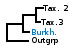 <strong>Fig. 49:1.</strong> Fylogenetiskt träd baserat på 16S rRNA-gensekvenser, som illustrerar släktskap mellan medlemmar av klasserna <i>α-proteobacteria</i> och <i>β-proteobacteria</i>, som är markerade med vertikala linjer. Alla taxa i trädet tillhör fylum <i>Proteobacteria</i> utom <i>Fusobacterium necrophorum</i> subsp. <i>necrophorum</i>, som tillhör fylum <i>Fusobacteria</i>. Blåmarkerade taxa är inkluderade i VetBact och taxa i fet stil är aktuella på denna bakteriesida.</p> 

<p>Trädet genererades med hjälp av datorprogrammet "Tree Builder" på <a href="http://rdp.cme.msu.edu/" target="_blank">RDPs webbplats</a>. <i>F. necrophorum</i> subsp. <i>necrophorum</i> valdes som utgrupp. (T) betyder typstam. Datum: 2016-01-14.</p>