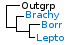 <strong>Fig. 134:1.</strong> Fylogenetiskt träd baserat på 16S rRNA-gensekvenser, som illustrerar släktskap mellan medlemmar av ordningen <i>Spirochaetales</i>. Alla taxa i trädet tillhör fylum <i>Spirochaetes</i> utom <i>Streptococcus pyogenes</i> och <i>Staphylococcus aureus</i> subsp. <i>aureus</i>, som tillhör fylum <i>Firmicutes</i> samt <i>Escherichia coli</i>, som tillhör fylum <i>Proteobacteria</i>. De släkten, som finns representerade i VetBact är markerade med vertikala linjer. Blåmarkerade taxa är inkluderade i VetBact och taxa i fet stil är aktuella på denna bakteriesida.</p> 

<p>Trädet genererades med hjälp av datorprogrammet "Tree Builder" på <a href="http://rdp.cme.msu.edu/" target="_blank">RDPs webbplats</a>. <i>E. coli</i> valdes som utgrupp. (T) betyder typstam. Datum: 2016-02-09.</p>