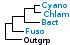 <strong>Fig. 184:1</strong> Fylogenetiskt träd baserat på 16S rRNA-gensekvenser, som illustrerar släktskap mellan medlemmar av följande fyla: <i>Cyanobacteria, Chlamydiae, Bacteroidetes</i> och <i>Fusobacteria</i>, som är markerade med vertikala linjer. Blåmarkerade taxa är inkluderade i VetBact och taxa i fet stil är aktuella på denna bakteriesida.</p> 

<p>Trädet genererades "on line" med hjälp av datorprogrammet "Tree Builder" på <a href="http://rdp.cme.msu.edu/" target="_blank">RDPs webbplats</a>. <i>E. coli</i> valdes som utgrupp. (T) betyder typstam. Datum: 2016-03-02.</p>