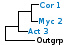 <strong>Fig. 252:1.</strong> Fylogenetiskt träd baserat på 16S rRNA-gensekvenser, som illustrerar släktskap mellan medlemmar av fylum <i>Actinobacteria</i>. Alla taxa i trädet tillhör detta fylum utom <i>Bacillus cereus</i> och <i>Clostridium perfringens</i>, som utgör en utgrupp och tillhör fylum <i>Firmicutes</i>. <i>Crossiella equi</i> har placerats inom ordningen <i>Pseudonocardiales</i> trots att den tycks vara mer närbesläktad med släktena <i>Rhodococcus</i> och <i>Nocardia</i>. De tre övriga ordningarna av fylum <i>Actinobacteria</i>, som finns representerade i VetBact, är markerade med vertikala linjer. Blåmarkerade taxa är inkluderade i VetBact och taxa i fet stil är aktuella på denna bakteriesida.</p> 

<p>Trädet genererades med hjälp av datorprogrammet "Tree Builder" på <a href="http://rdp.cme.msu.edu/" target="_blank">RDPs webbplats</a>. (T) betyder typstam. Datum: 2017-02-01.</p>