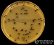 <p><b>Fig. 20:8.</b> Kolonier av <i>Staphylococcus aureus</i> subsp. <i>aureus</i> odlad på <a href="http://www.vetbact.org/vetbact/?displayextinfo=96" target="_blank"><b>Baird-Parker agar</b></a>. Längden av skalstrecket motsvarar 1 cm. Datum: 2017-05-03.</p>

<p> </p>