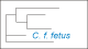 <p><strong>Fig. 90:2.</strong> Trädet visar 16S rRNA-baserade fylogenetiska relationer inom följande bakterie-släkten: <i>Campylobacter, Helicobacter, Arcobacter, Burkholderia, Wolinella</i> och <i>Sulfurospirillum</i>.</p>