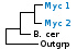 <p><strong>Fig. 216:1.</strong> Phylogenetic tree based on 16S rRNA gene sequences, which illustrates the relations between members of the class <i>Mollicutes</i>. All taxa in the tree belong to the phylum <i>Teniericutes</i> except <i>Bacillus cereus</i> and <i>Clostridium botulinum</i>, which belong to the phylum <i>Firmicutes</i> and <i>Escherichia coli</i>, which belongs to the phylum <i>Proteobacteria</i>. The mycoplasmas of the mycoides group and the hemotropic mykoplasmas are indicated by vertical bars. Names of taxa in blue are included in VetBact and taxa in bold are included in this bacterial page.</p>

<p> </p>

<p>The tree was generated on line by using the computer program "Tree Builder" at <a href="http://rdp.cme.msu.edu/" target="_blank">the website of RDP</a>. <i>E. coli</i> was chosen as outgroup. (T) means type strain. Date: 2016-01-27.</p>