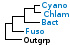 <strong>Fig. 219:1</strong> Phylogenetic tree based on 16S rRNA gene sequences, which illustrates the relations between members of the following phyla: <i>Cyanobacteria, Chlamydiae, Bacteroidetes</i> and <i>Fusobacteria</i>, which are indicated by vertical bars. Names of taxa in blue are included in VetBact and taxa in bold are included in this  bacterial page.</p> 

<p>The tree was generated on line by using the computer program "Tree Builder" at <a href="http://rdp.cme.msu.edu/" target="_blank">the website of RDP</a>. <i>E. coli</i> was chosen as outgroup. (T) means type strain. Date: 2016-03-02.</p>