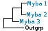 <strong>Fig. 254:1.</strong> Phylogenetic tree based on 16S rRNA gene sequences, which illustrates the relations between members of the phylum <i>Actinobacteria</i>. All taxa in the tree belong to this phylum except <i>Bacillus cereus</i> and <i>Clostridium perfringens</i>, which constitute the outgroup and belong to the phylum <i>Firmicutes</i>. <i>Crossiella equi</i> has been placed within the order <i>Pseudonocardiales</i> although it is more closely related to the genera Rhodococcus and Nocardia. The three orders of phylum <i>Actinobacteria</i>, which are represented in VetBact are indicated by vertical bars. Names of taxa in blue are included in VetBact and taxa in bold are included in this  bacterial page.</p> 

<p>The tree was generated on line by using the computer program "Tree Builder" at <a href="http://rdp.cme.msu.edu/" target="_blank">the website of RDP</a>. (T) means type strain. Date: 2017-01-19.</p>