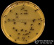 <p><b>Fig. 20:8.</b> Colonies of <i>Staphylococcus aureus</i> subsp. <i>aureus</i> cultivated on <a href="http://www.vetbact.org/vetbact/?displayextinfo=96" target="_blank"><b>Baird-Parker agar</b></a>. The length of the scale bar is equivalent to 1 cm. Date: 2017-05-03.</p>

<p> </p>
