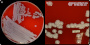 Staphylococcus sciuri