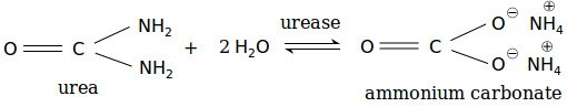 The urease test